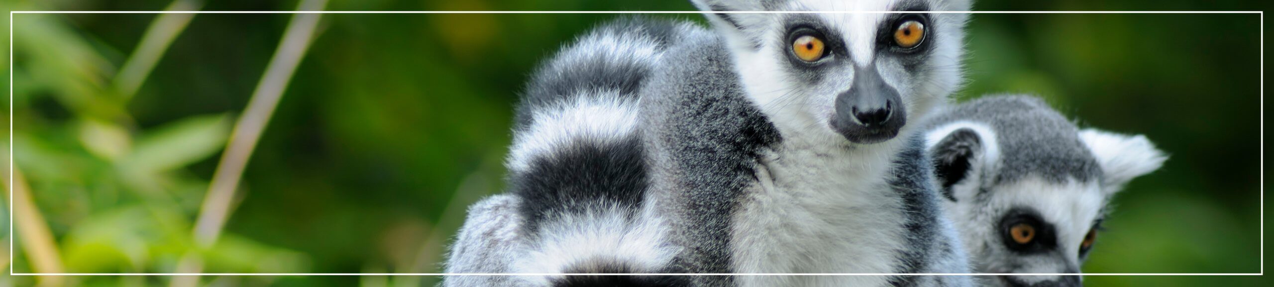 dispute with his employer