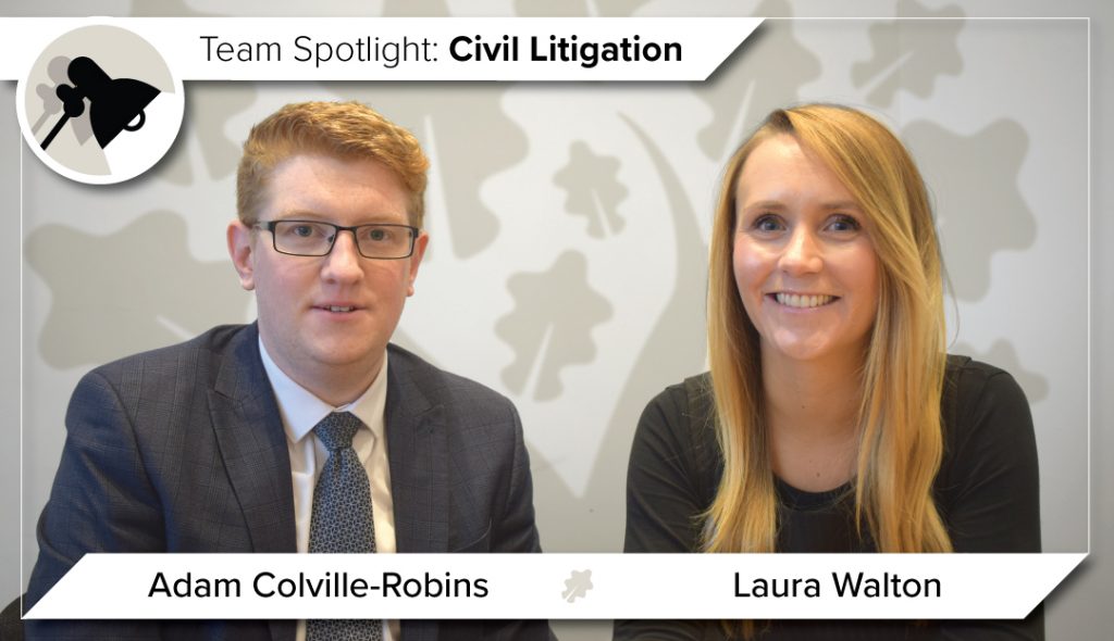 Team Spotlight Civil Litigation