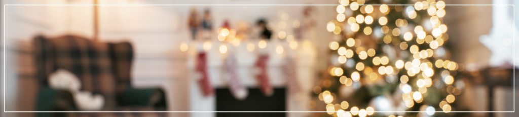 Devon Christmas Crimes