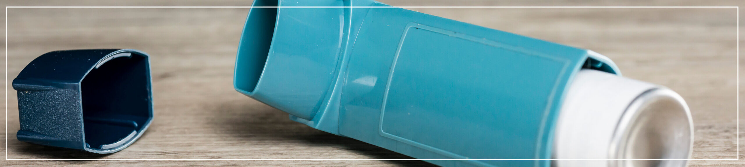 Black mould infestation