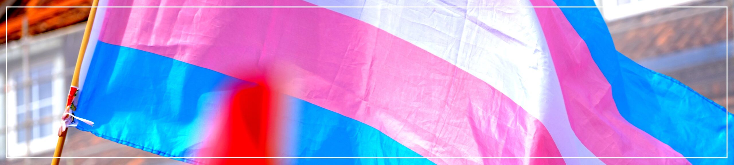 Transgender hate crime