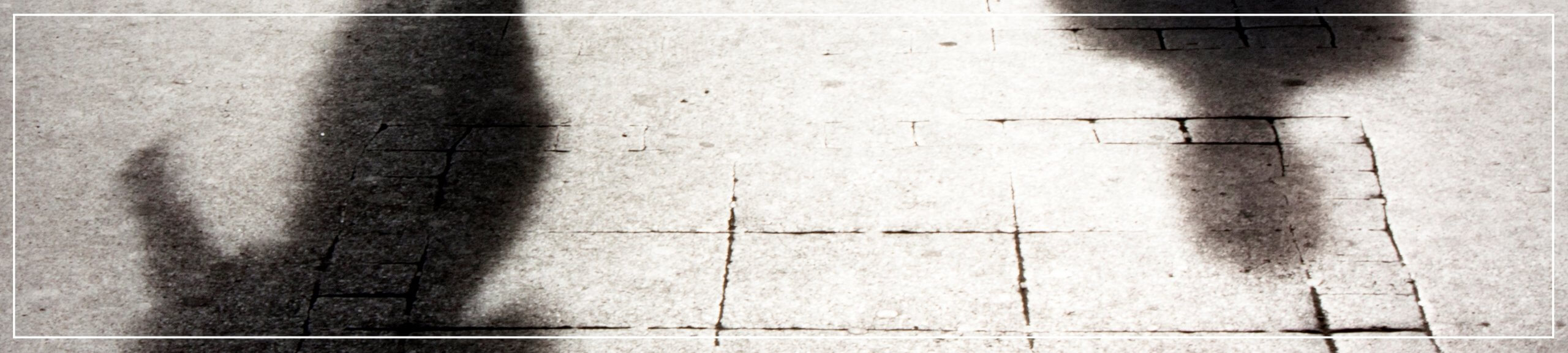 Council told to apologise