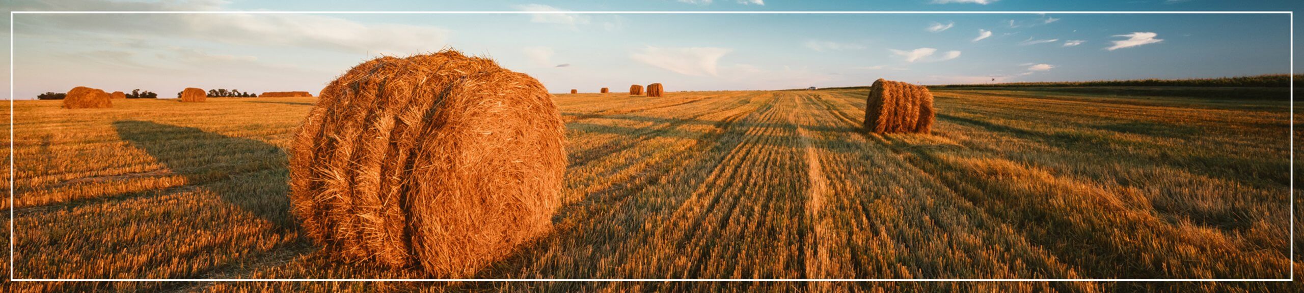 Safety warning this summer