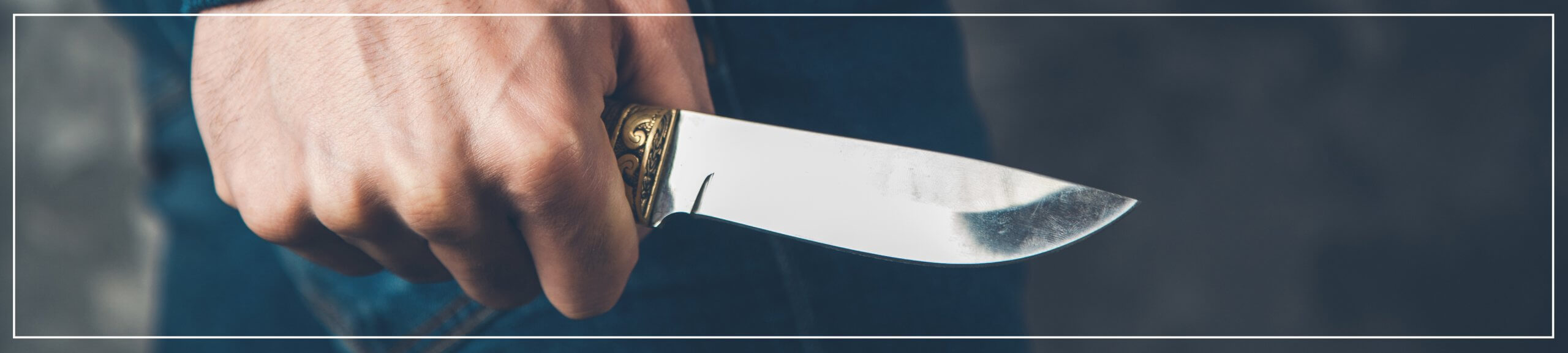 Zombie knife amnesty scheme