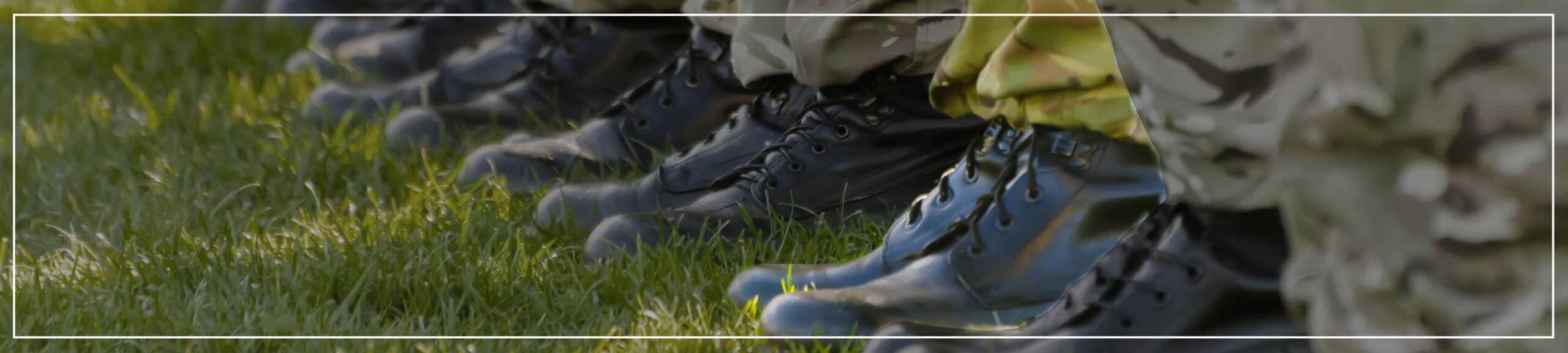 Guide to Military Injury