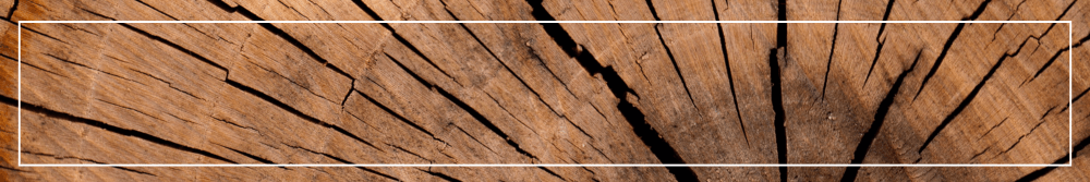 Wooden tree trunk