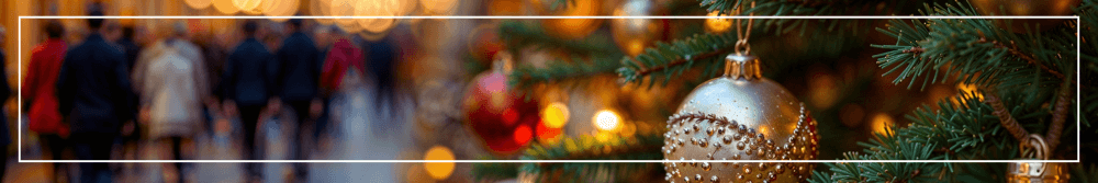 financial abuse at Christmas