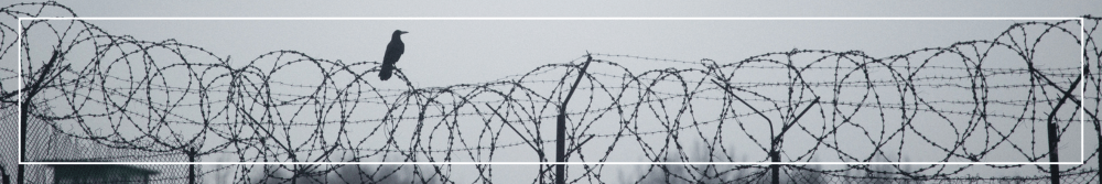 prison walls (1)