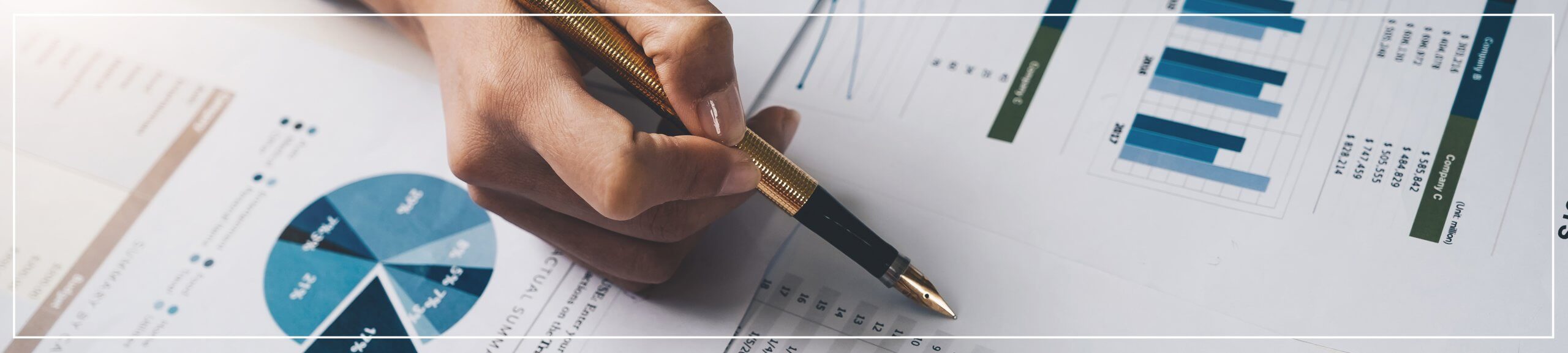 Guide to Investment Scams